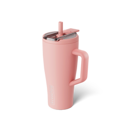 Era Flip 30oz | Guava - Fresh Care