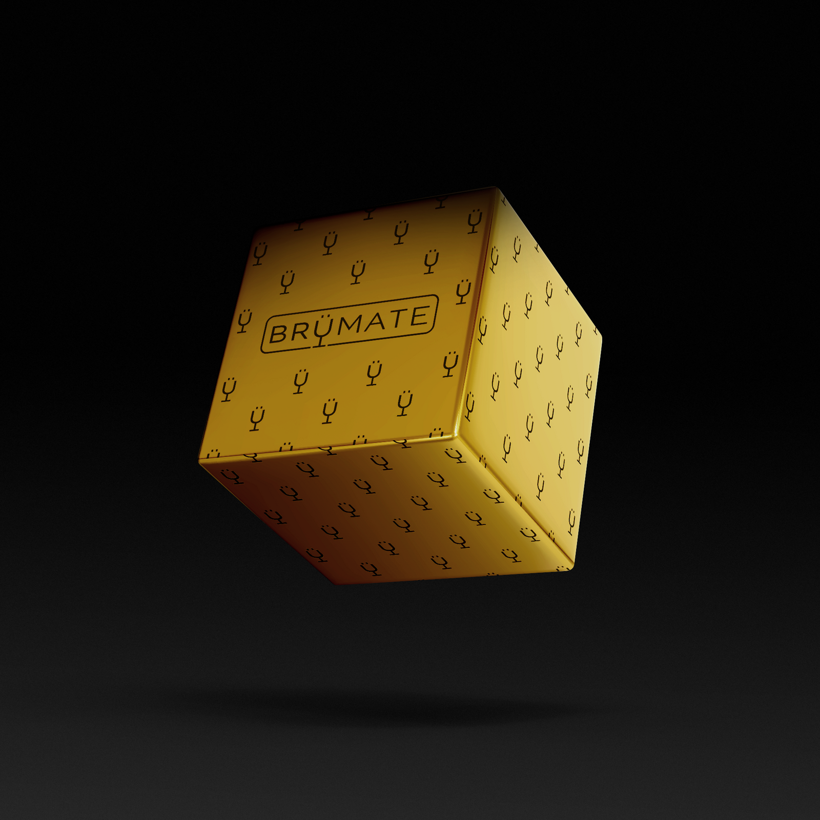 Premium Mystery Item ($39-70 Value) - Daily Choice